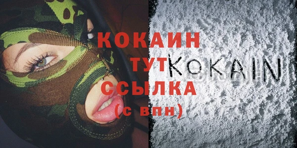 тгк Алзамай