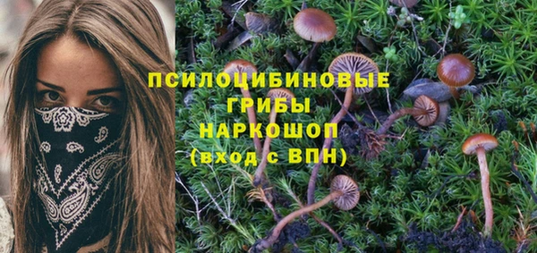 MDMA Алексин
