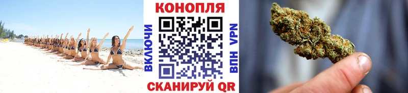 сайты даркнета Telegram Николаевск-на-Амуре Бошки марихуана ГИДРОПОН
